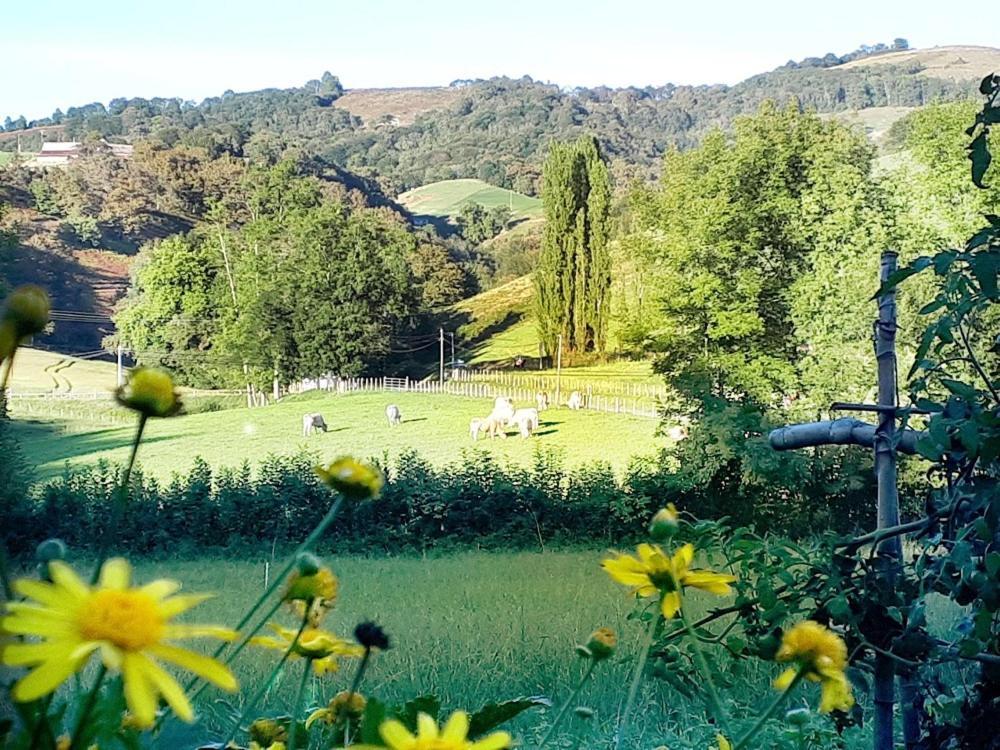 Chez Naty chambres d'hôtes au Pays-Basque Cheraute Exterior foto